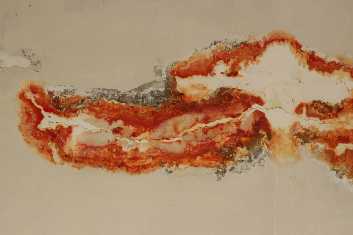 Mur intérieur marqué par une large tache d'humidité et une peinture qui s'écaille
