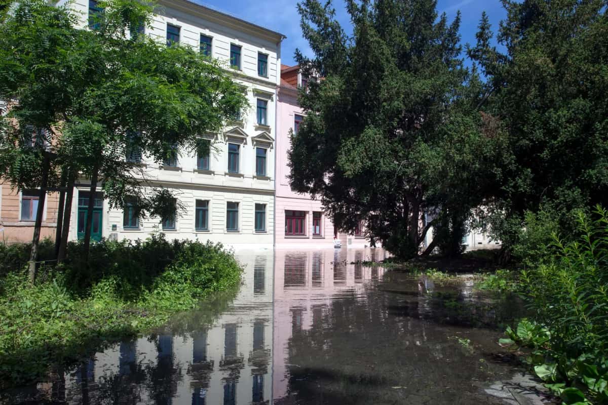 Rue et jardins submergés au pied d'immeubles après une crue