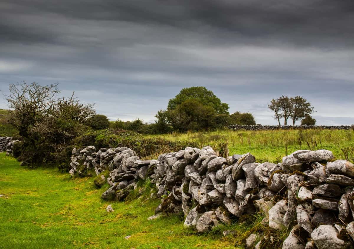 Murets de pierre sèche et champs verts sous un ciel chargé dans la campagne irlandaise