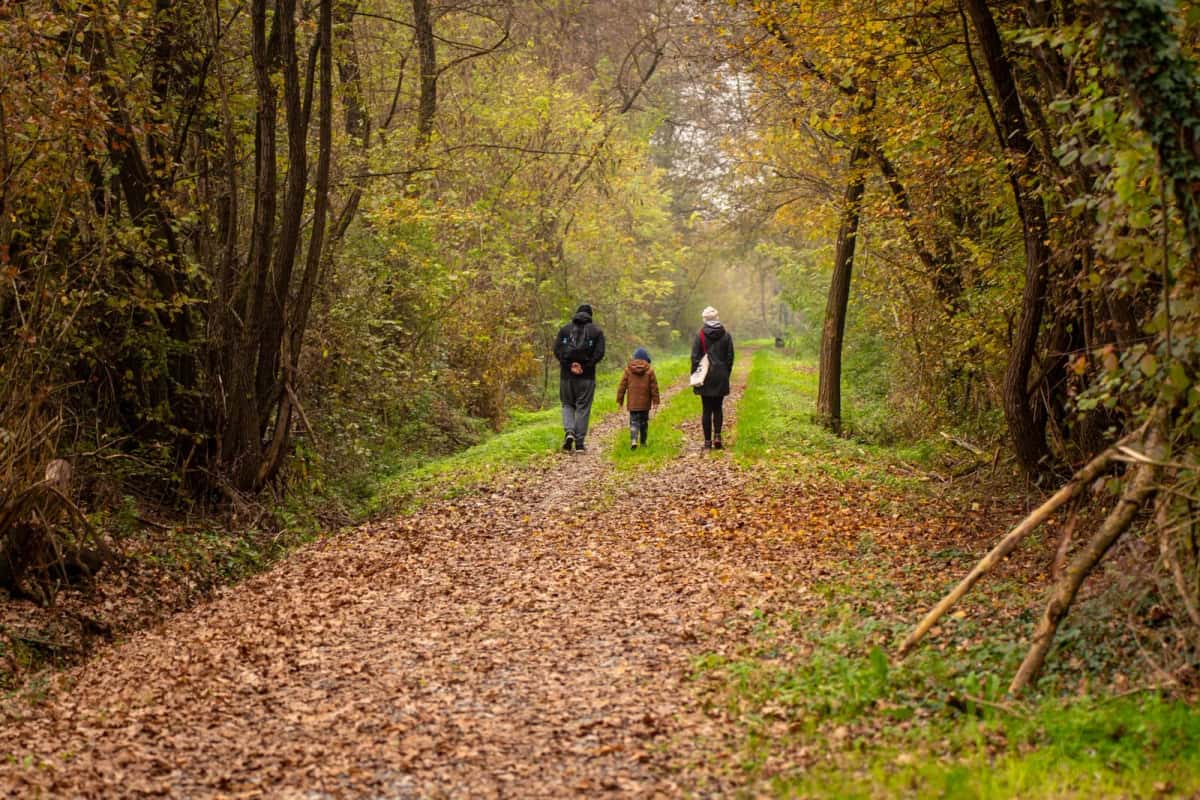Famille marchant de dos sur un chemin forestier couvert de feuilles