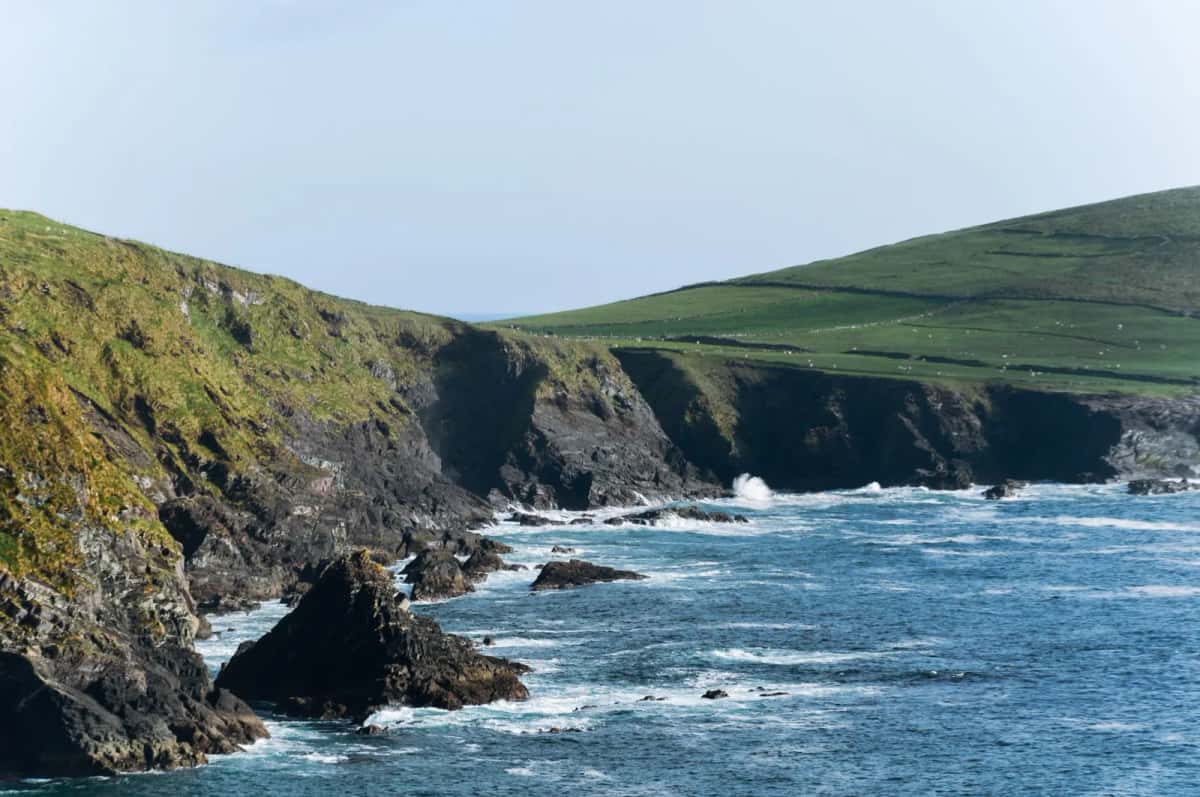 Falaises et collines quadrillées de murets sur la côte du Kerry