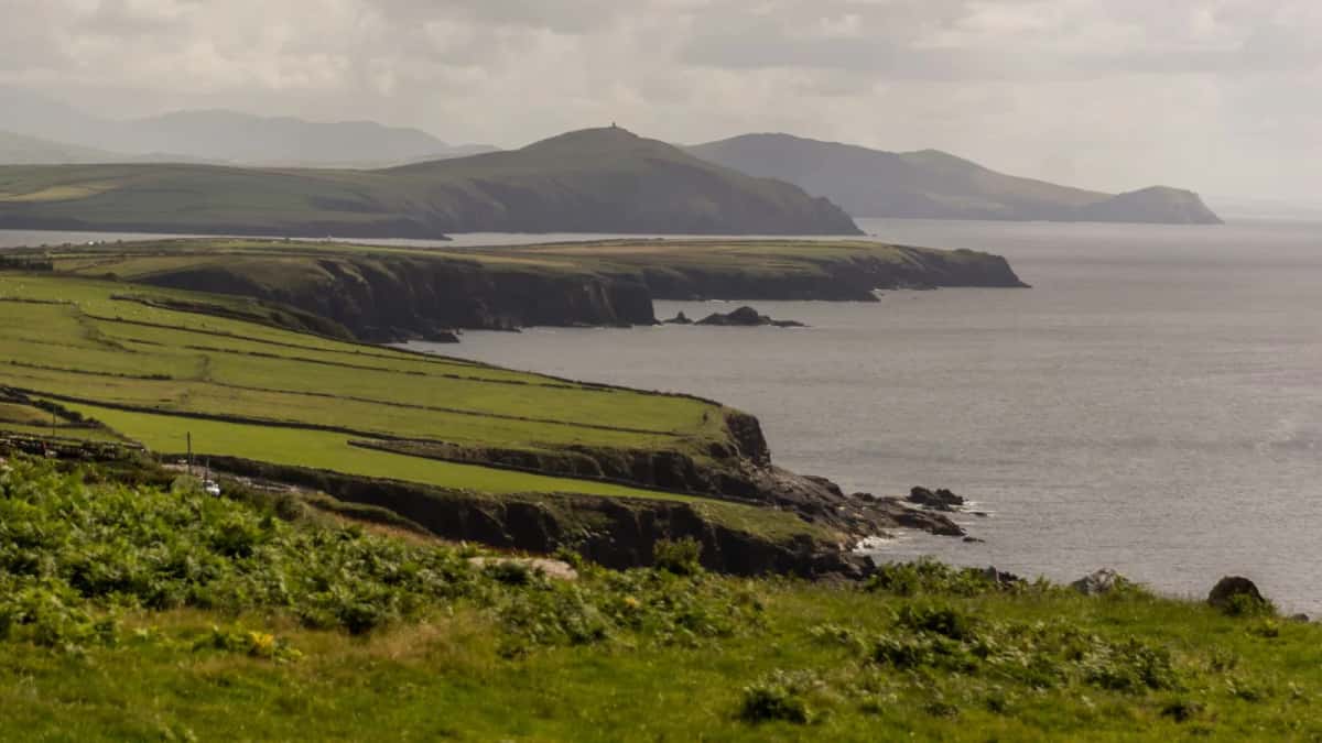 Littoral découpé de la péninsule de Dingle, champs quadrillés de murets au-dessus des falaises